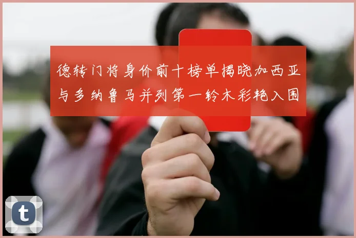 德转门将身价前十榜单揭晓加西亚与多纳鲁马并列第一铃木彩艳入围